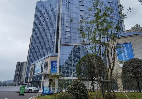 司法拍賣(mài)四川標(biāo)王來(lái)了,23萬(wàn)平方米商業(yè)地產(chǎn)20億元起拍