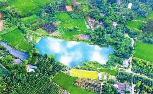 23億負(fù)債壓頂，22年老牌房企申請(qǐng)破產(chǎn)！阜陽房企承壓，四川地產(chǎn)亦現(xiàn)隱憂